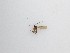  ( - TMM-268)  @11 [ ] CreativeCommons  Attribution
Non-Commercial Share-Alike (2019) Unspecified Zhejiang A&F University