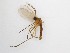  ( - TMM-420)  @11 [ ] CreativeCommons  Attribution
Non-Commercial Share-Alike (2019) Unspecified Zhejiang A&F University