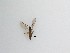  ( - TMM-574)  @11 [ ] CreativeCommons  Attribution
Non-Commercial Share-Alike (2019) Unspecified Zhejiang A&F University