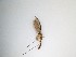  ( - TMM-689)  @11 [ ] CreativeCommons  Attribution
Non-Commercial Share-Alike (2019) Unspecified Zhejiang A&F University