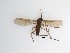  ( - TMM-88)  @12 [ ] CreativeCommons  Attribution
Non-Commercial Share-Alike (2019) Unspecified Zhejiang A&F University