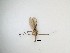  ( - TMM-905)  @11 [ ] CreativeCommons  Attribution
Non-Commercial Share-Alike (2019) Unspecified Zhejiang A&F University