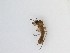  ( - TMM-981)  @12 [ ] CreativeCommons  Attribution
Non-Commercial Share-Alike (2019) Unspecified Zhejiang A&F University