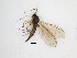  ( - TMM-F107)  @11 [ ] CreativeCommons  Attribution
Non-Commercial Share-Alike (2019) Unspecified Zhejiang A&F University