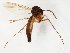  ( - TSZD-JKJ-107165)  @11 [ ] CreativeCommons - Attribution Non-Commercial Share-Alike (2019) Unspecified Tromsø University Museum