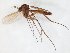  ( - TSZD-JKJ-107167)  @11 [ ] CreativeCommons - Attribution Non-Commercial Share-Alike (2019) Unspecified Tromsø University Museum