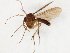  ( - TSZD-JKJ-107171)  @11 [ ] CreativeCommons - Attribution Non-Commercial Share-Alike (2019) Unspecified Tromsø University Museum