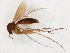  ( - TSZD-JKJ-107174)  @11 [ ] CreativeCommons - Attribution Non-Commercial Share-Alike (2019) Unspecified Tromsø University Museum
