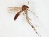  ( - TSZD-JKJ-107177)  @11 [ ] CreativeCommons - Attribution Non-Commercial Share-Alike (2019) Unspecified Tromsø University Museum