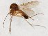  (Brevicornu JKJ-Afr-spB - TSZD-JKJ-107190)  @11 [ ] CreativeCommons - Attribution Non-Commercial Share-Alike (2019) Unspecified Tromsø University Museum
