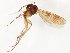  ( - TSZD-JKJ-107207)  @11 [ ] CreativeCommons - Attribution Non-Commercial Share-Alike (2019) Unspecified Tromsø University Museum