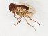  ( - TSZD-JKJ-107213)  @11 [ ] CreativeCommons - Attribution Non-Commercial Share-Alike (2019) Unspecified Tromsø University Museum