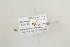  ( - TSZD-JKJ-107226)  @11 [ ] CreativeCommons - Attribution Non-Commercial Share-Alike (2019) Unspecified Tromsø University Museum