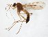  ( - TSZD-JKJ-107247)  @14 [ ] CreativeCommons - Attribution Non-Commercial Share-Alike (2019) Unspecified Tromsø University Museum