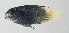  ( - SCIL-278)  @11 [ ] CreativeCommons  Attribution Non-Commercial (by-nc) (2014) Unspecified Smithsonian Institution National Museum of Natural History