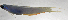  ( - SCIL-324)  @11 [ ] CreativeCommons  Attribution Non-Commercial (by-nc) (2014) Unspecified Smithsonian Institution National Museum of Natural History