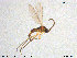  ( - TRD-Sci033)  @12 [ ] CreativeCommons - Attribution Non-Commercial Share-Alike (2015) NTNU University Museum, Department of Natural History NTNU University Museum, Department of Natural History