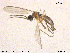  ( - TRD-Sci044)  @11 [ ] CreativeCommons - Attribution Non-Commercial Share-Alike (2015) NTNU University Museum, Department of Natural History NTNU University Museum, Department of Natural History