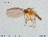  ( - TRD-Sci060)  @11 [ ] CreativeCommons - Attribution Non-Commercial Share-Alike (2015) NTNU University Museum, Department of Natural History NTNU University Museum, Department of Natural History