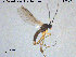  ( - TRD-Sci073)  @11 [ ] CreativeCommons - Attribution Non-Commercial Share-Alike (2015) NTNU University Museum, Department of Natural History NTNU University Museum, Department of Natural History