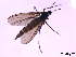  ( - bf-sci-00015)  @11 [ ] CreativeCommons - Attribution Share-Alike (2014) OlsenGammelmo BioFokus