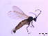  ( - bf-sci-00018)  @12 [ ] CreativeCommons - Attribution Share-Alike (2014) OlsenGammelmo BioFokus