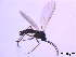  ( - bf-sci-00026)  @12 [ ] CreativeCommons - Attribution Share-Alike (2014) OlsenGammelmo BioFokus
