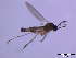  ( - bf-sci-00059)  @12 [ ] CreativeCommons - Attribution Share-Alike (2014) OlsenGammelmo BioFokus