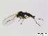  ( - bf-sci-00153)  @12 [ ] CreativeCommons - Attribution Non-Commercial Share-Alike (2014) Oivind Gammelmo BioFokus