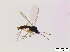  ( - bf-sci-00205b)  @11 [ ] CreativeCommons - Attribution Share-Alike (2015) OlsenGammelmo BioFokus