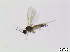  ( - bf-sci-00222)  @11 [ ] CreativeCommons - Attribution Non-Commercial Share-Alike (2014) Oivind Gammelmo BioFokus