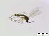  ( - bf-sci-00250)  @11 [ ] CreativeCommons - Attribution Non-Commercial Share-Alike (2014) Oivind Gammelmo BioFokus