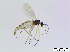  ( - bf-sci-00700)  @11 [ ] CreativeCommons - Attribution Non-Commercial Share-Alike (2015) Oivind Gammelmo BioFokus