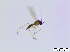  ( - bf-sci-00720)  @12 [ ] CreativeCommons - Attribution Non-Commercial Share-Alike (2015) Oivind Gammelmo BioFokus