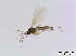  ( - bf-sci-00765)  @11 [ ] CreativeCommons - Attribution Non-Commercial Share-Alike (2016) Oivind Gammelmo BioFokus