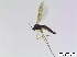  ( - bf-sci-00774)  @11 [ ] CreativeCommons - Attribution Non-Commercial Share-Alike (2016) Oivind Gammelmo BioFokus