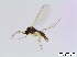  ( - bf-sci-00794)  @11 [ ] CreativeCommons - Attribution Non-Commercial Share-Alike (2016) Oivind Gammelmo BioFokus