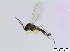  ( - bf-sci-00801)  @11 [ ] CreativeCommons - Attribution Non-Commercial Share-Alike (2016) Oivind Gammelmo BioFokus