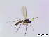  ( - bf-sci-00803)  @11 [ ] CreativeCommons - Attribution Non-Commercial Share-Alike (2016) Oivind Gammelmo BioFokus