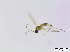  ( - bf-sci-00822)  @11 [ ] CreativeCommons - Attribution Non-Commercial Share-Alike (2016) Oivind Gammelmo BioFokus