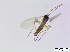  ( - bf-sci-00824)  @11 [ ] CreativeCommons - Attribution Non-Commercial Share-Alike (2016) Oivind Gammelmo BioFokus