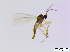  ( - bf-sci-00829)  @11 [ ] CreativeCommons - Attribution Non-Commercial Share-Alike (2016) Oivind Gammelmo BioFokus