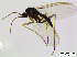  ( - bf-sci-00996)  @11 [ ] CreativeCommons - Attribution Share-Alike (2015) OlsenGammelmo BioFokus