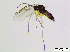 ( - bf-sci-01005)  @11 [ ] CreativeCommons - Attribution Share-Alike (2015) OlsenGammelmo BioFokus