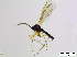  ( - bf-sci-01018)  @12 [ ] CreativeCommons - Attribution Share-Alike (2015) OlsenGammelmo BioFokus