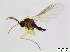  ( - bf-sci-01031)  @11 [ ] CreativeCommons - Attribution Share-Alike (2015) OlsenGammelmo BioFokus