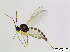  ( - bf-sci-01060)  @11 [ ] CreativeCommons - Attribution Share-Alike (2015) OlsenGammelmo BioFokus