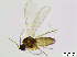  ( - bf-sci-01062)  @13 [ ] CreativeCommons - Attribution Share-Alike (2015) OlsenGammelmo BioFokus