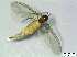  ( - bf-sci-01076)  @11 [ ] CreativeCommons - Attribution Non-Commercial Share-Alike (2016) Kjell Magne Olsen BioFokus