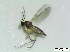  ( - bf-sci-01186)  @11 [ ] CreativeCommons - Attribution Non-Commercial Share-Alike (2016) Kjell Magne Olsen BioFokus